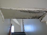 Extreme Makeover