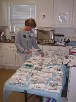 Dental Day